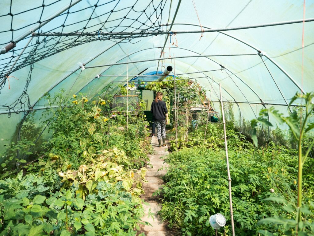 Greenhouse